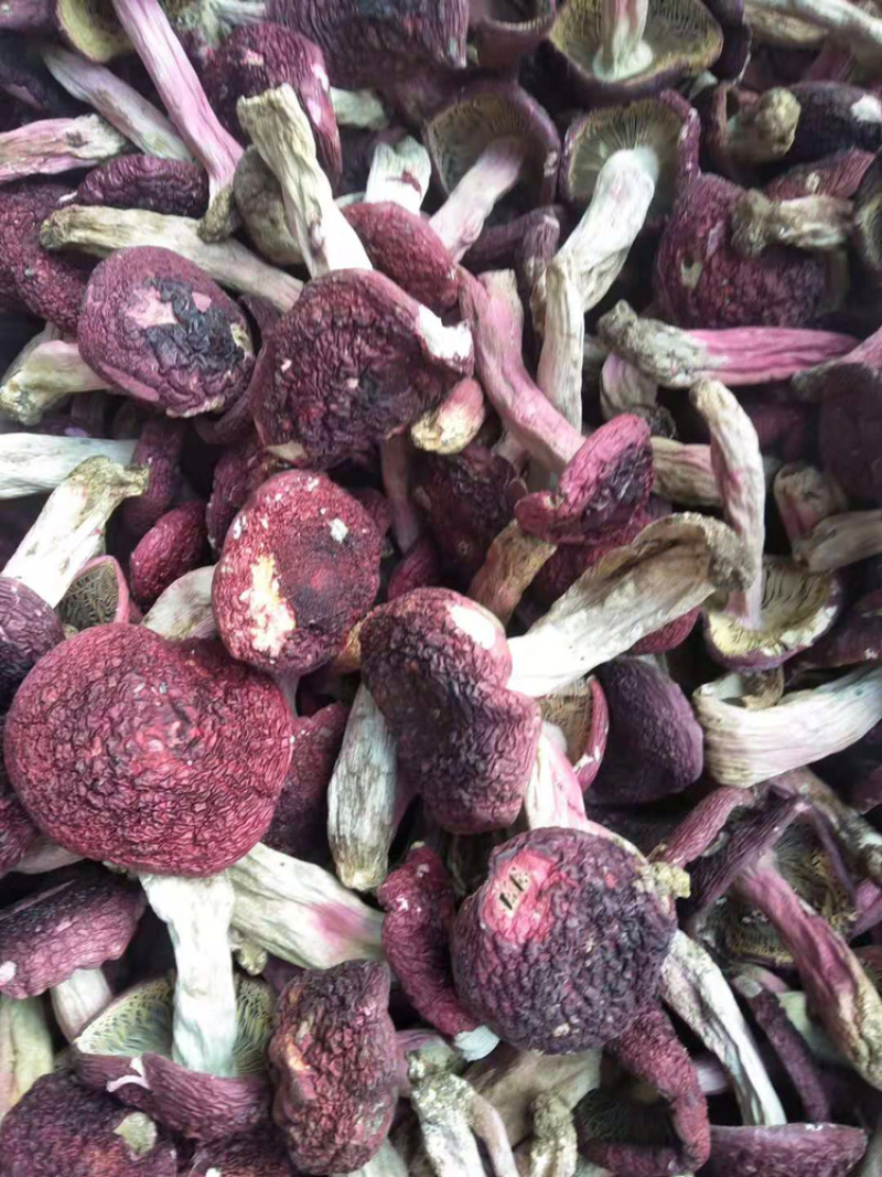 野生红菌云南红菇干货大红菌