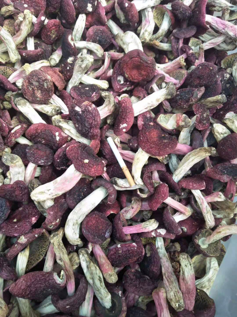野生红菌云南红菇干货大红菌