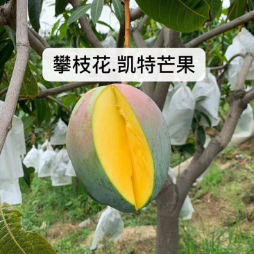 支持电商平台，物流，空运，拼车，单车，落地配