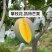 支持电商平台，物流，空运，拼车，单车，落地配
