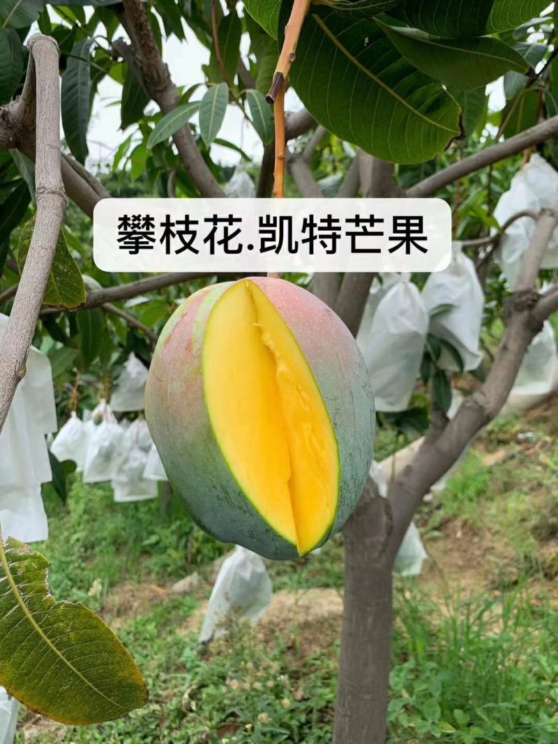 支持电商平台，物流，空运，拼车，单车，落地配