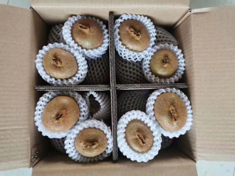 各种纸箱礼品盒，十字格挡发泡网珍珠棉胆拖大量供应