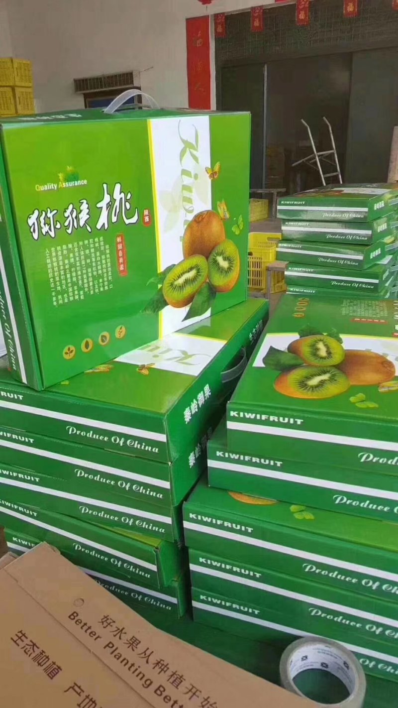 各种纸箱礼品盒，十字格挡发泡网珍珠棉胆拖大量供应
