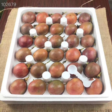 百香果王