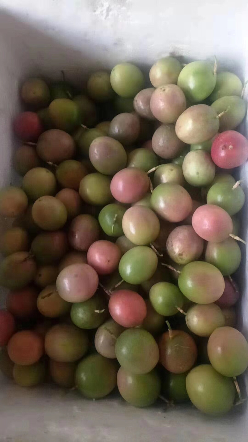 百香果王