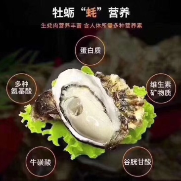 生蚝肉