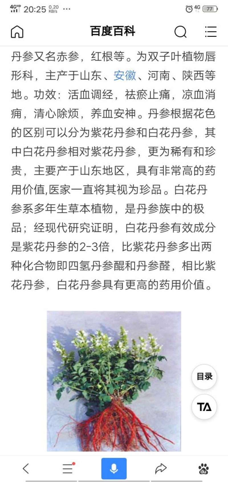 白花丹参种苗