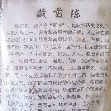 西藏阿里地区藏茵陈茵陈