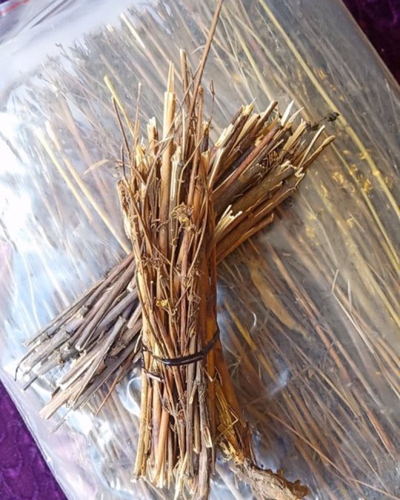 西藏阿里地区藏茵陈茵陈