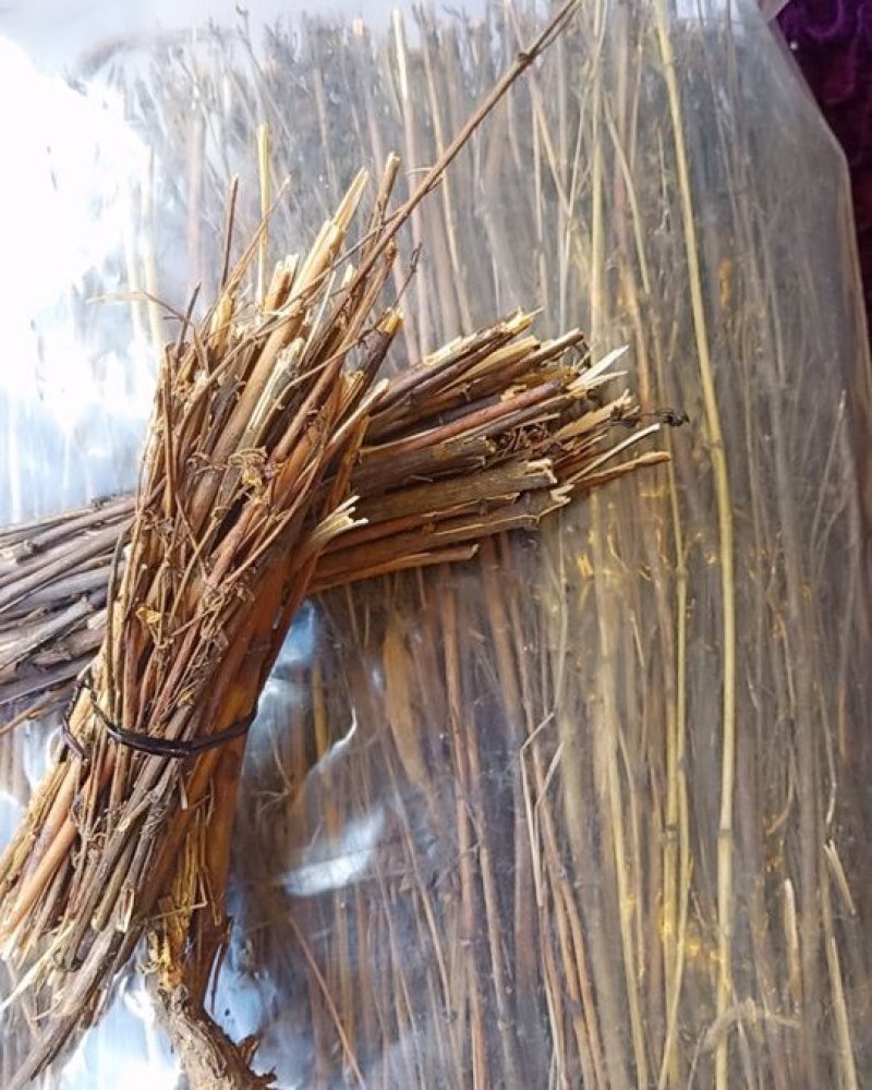 西藏阿里地区藏茵陈茵陈
