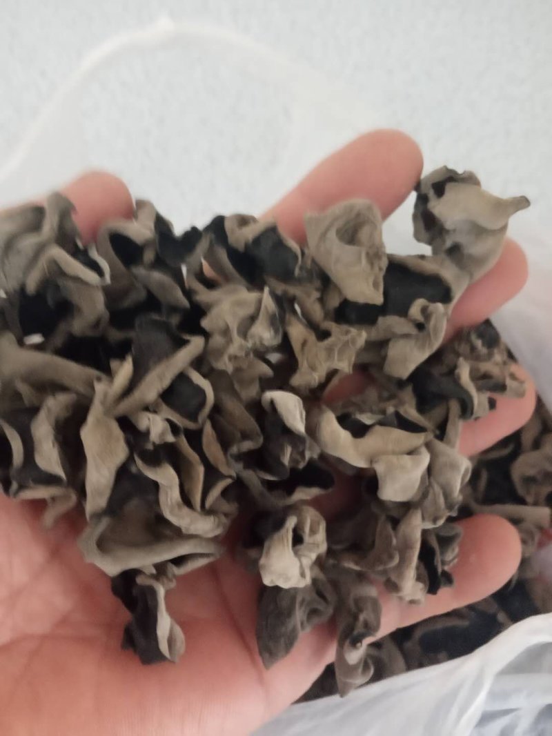 黑龙江黑木耳！！！