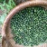 黄精新鲜黄精野生黄精黄精块茎小黄精