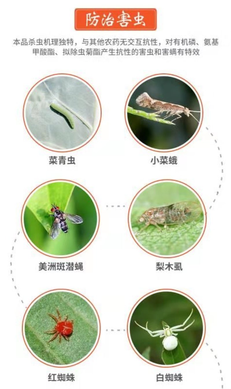 沪联强维丁5%阿维菌素稻纵卷叶螟杀虫剂农药