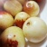 送礼佳品