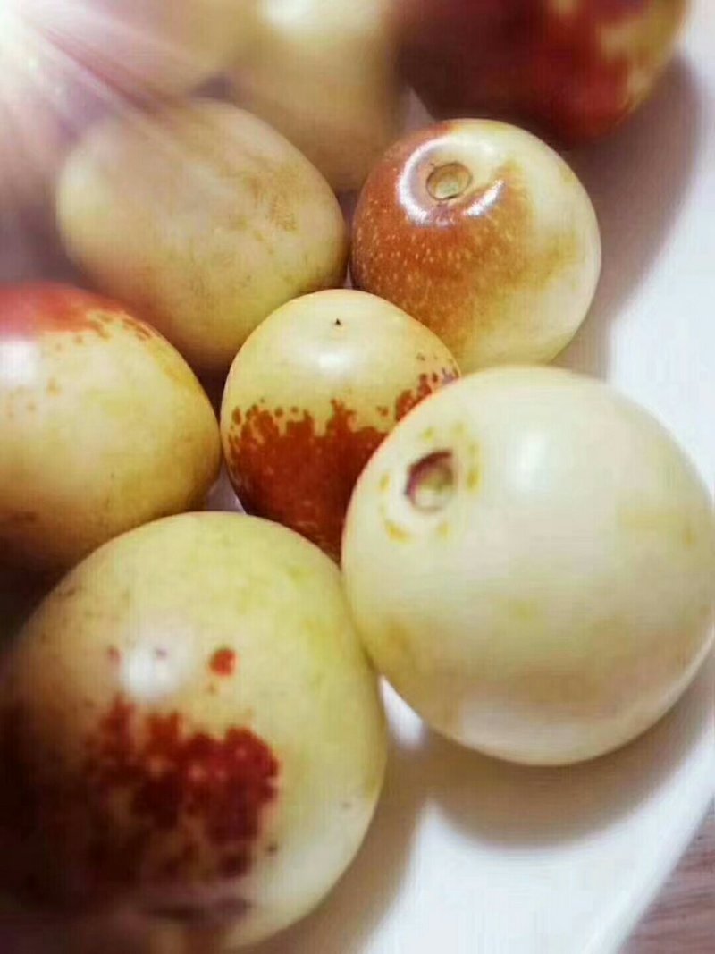 送礼佳品