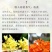 桂花带花蕾带盆发货可以视频看货选货一亩田线上交易
