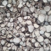 苦参片，各种规格，统货