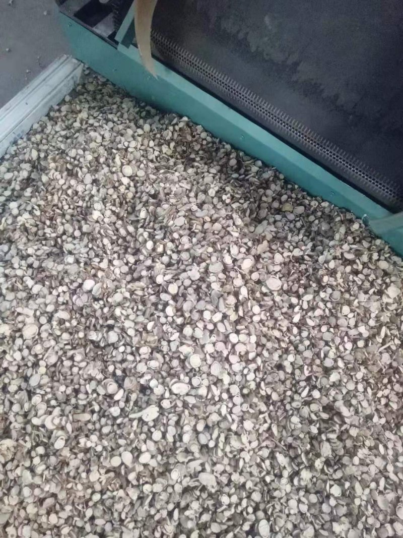 苦参片，各种规格，统货