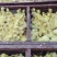 孵化厂家大种白番鸭苗！各个日龄段脱温苗，回收成品