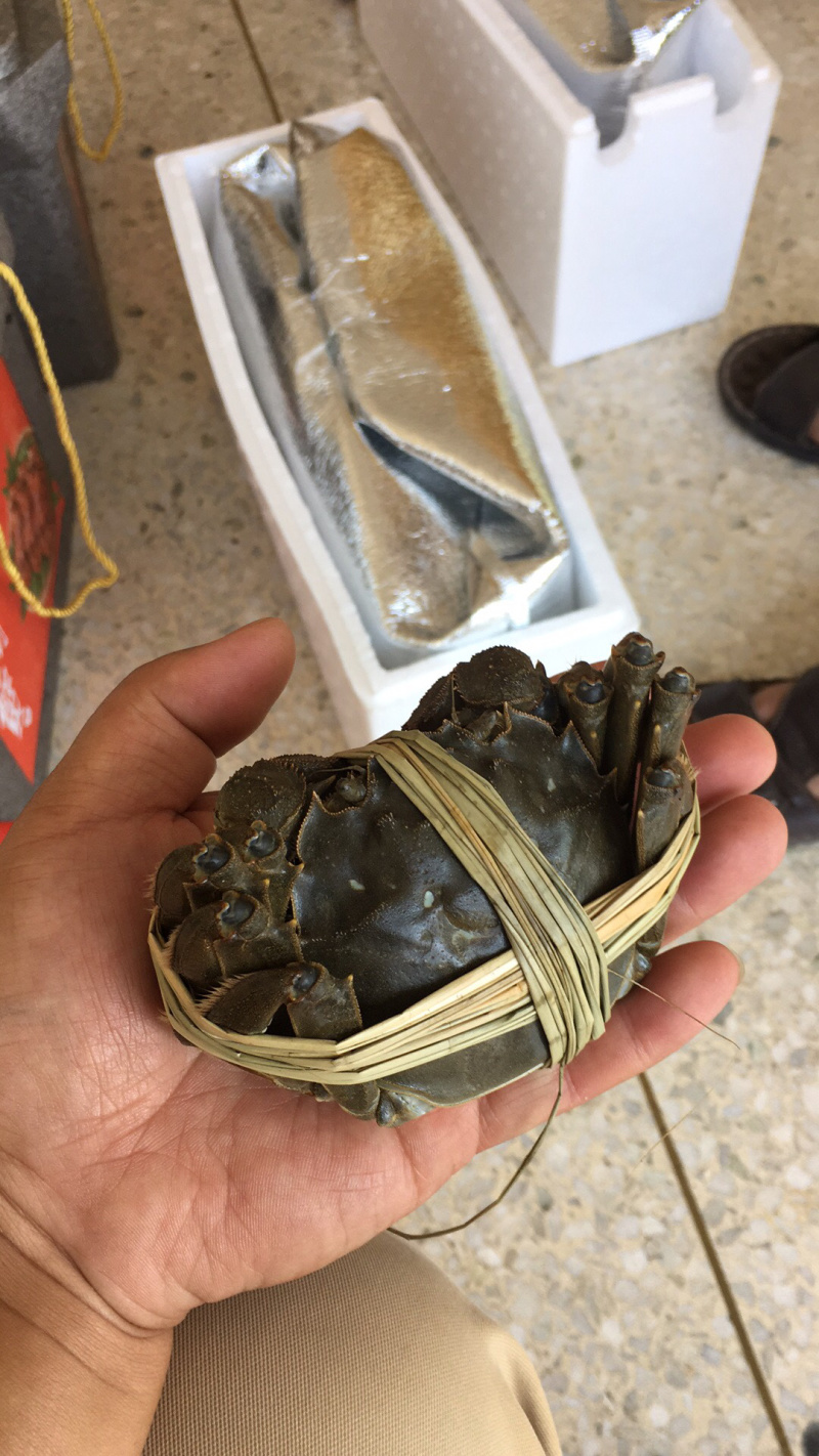 兴化大闸蟹