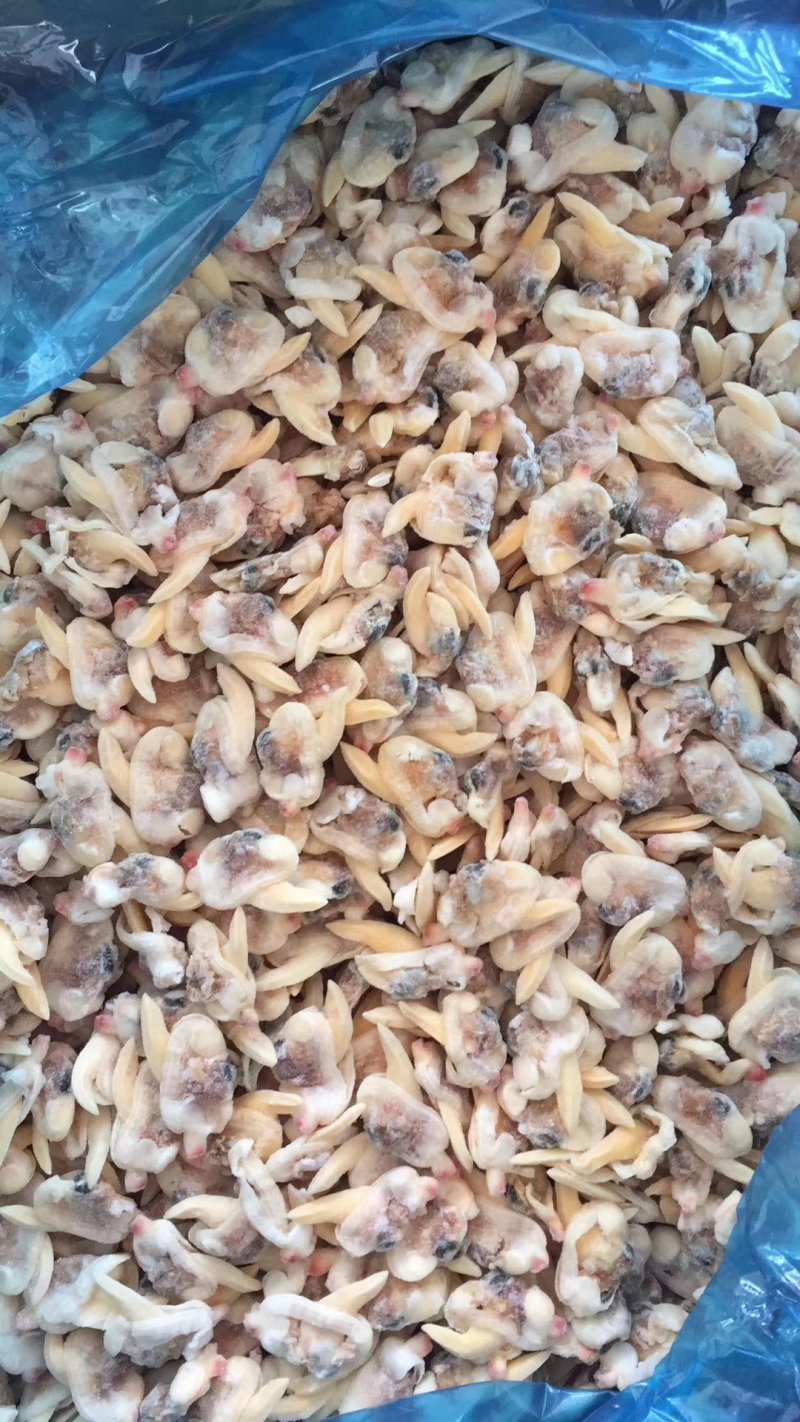 黄蚬肉厂家一手货源加工有量的老板们来合作