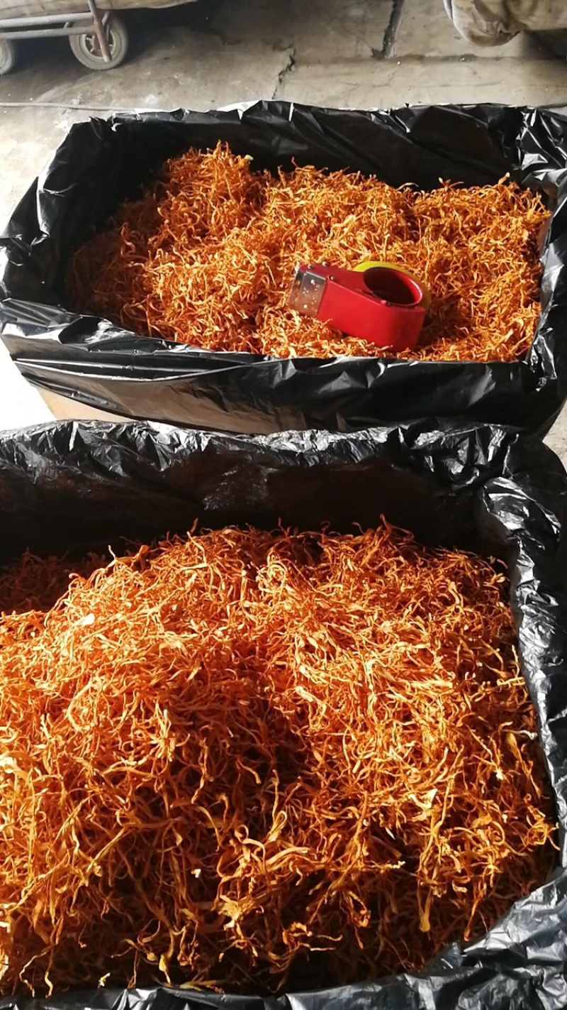 虫草花干货通货散草大箱装干净无杂质产地直销