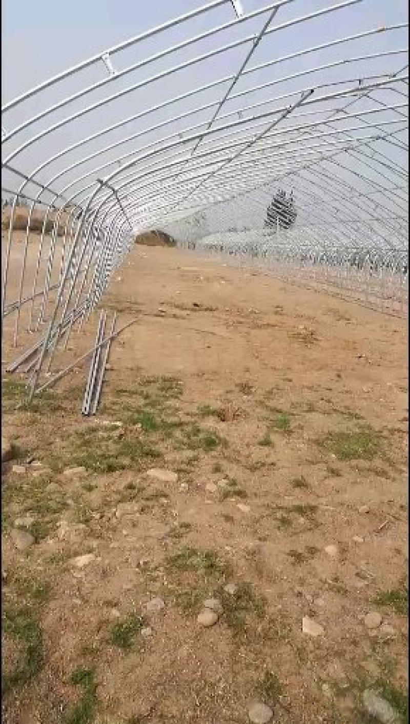淇县大棚安装设计