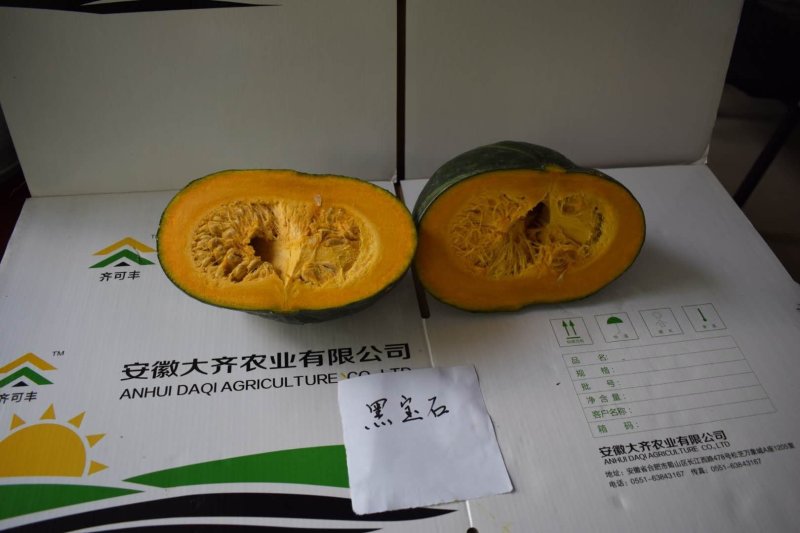 黑宝石南瓜