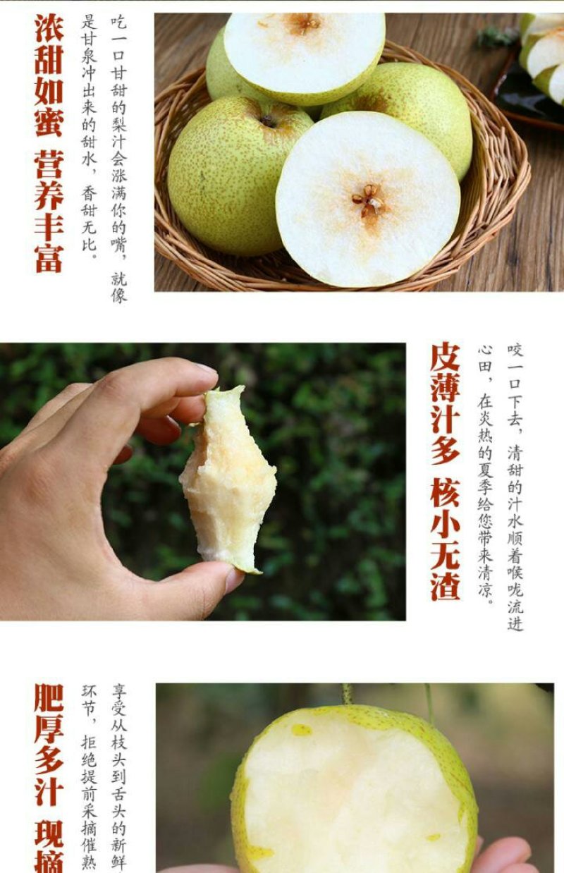 宁陵酥梨，一件代发5斤装16元包邮，10斤装29元包邮
