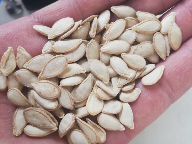 南瓜籽，散籽，籽，全年有货，欢迎咨询