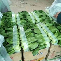 精品上海青