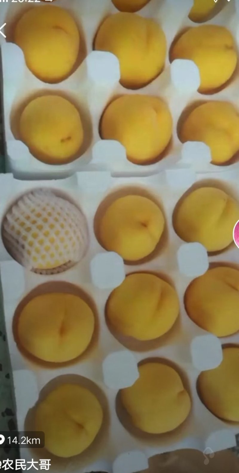 黄桃大量上市