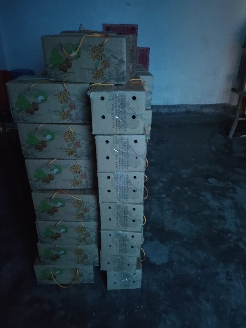 红心猕猴桃自然长大的