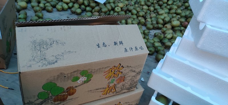 红心猕猴桃自然长大的