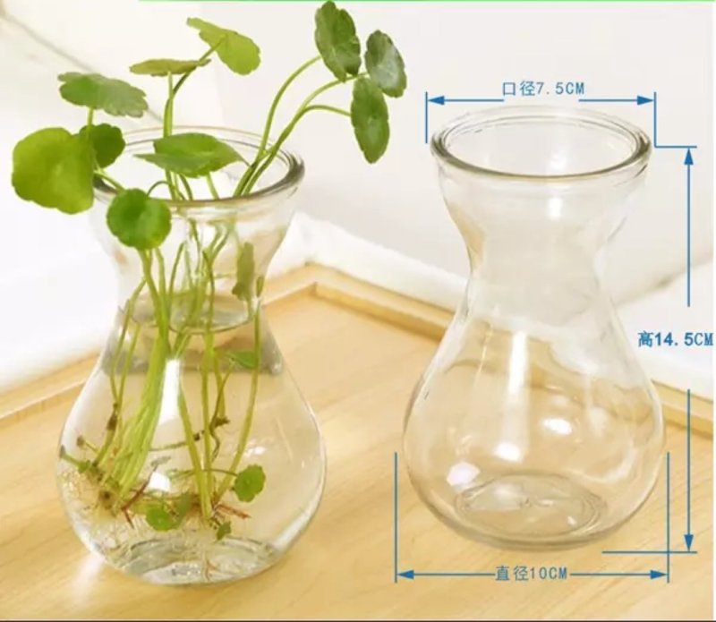 玻璃花盆批发风信子玻璃瓶植物水培花瓶玻璃瓶绿萝水仙玻璃瓶