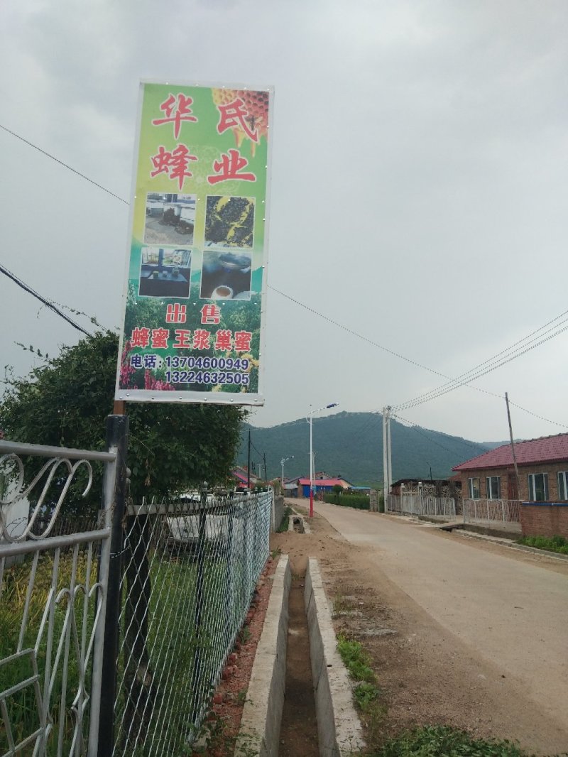 百花粉(蒲公英.五味子.各种药材.农作物)