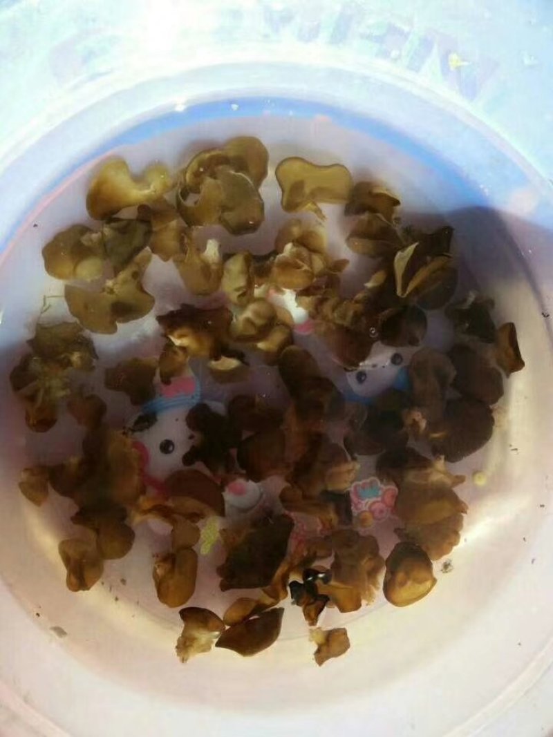 云南特产哀牢山原始森林黑木耳产地货源大量批发