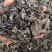 云南特产哀牢山原始森林黑木耳产地货源大量批发