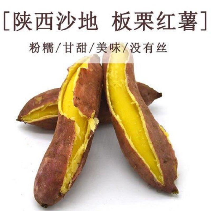 现挖新鲜红薯沙土地板栗红薯农家自种一件代发