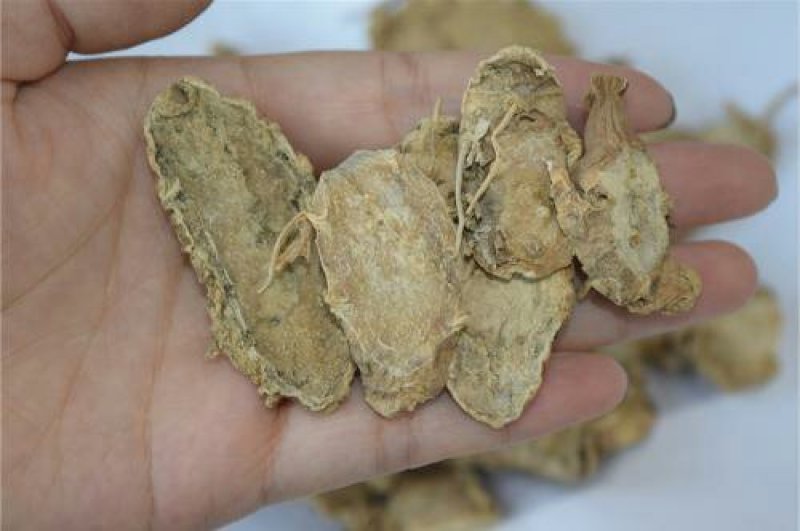 片姜黄千余品种供应承接订单