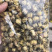 苏北菊胎菊大货每件10公斤质量中等产地直供批发价