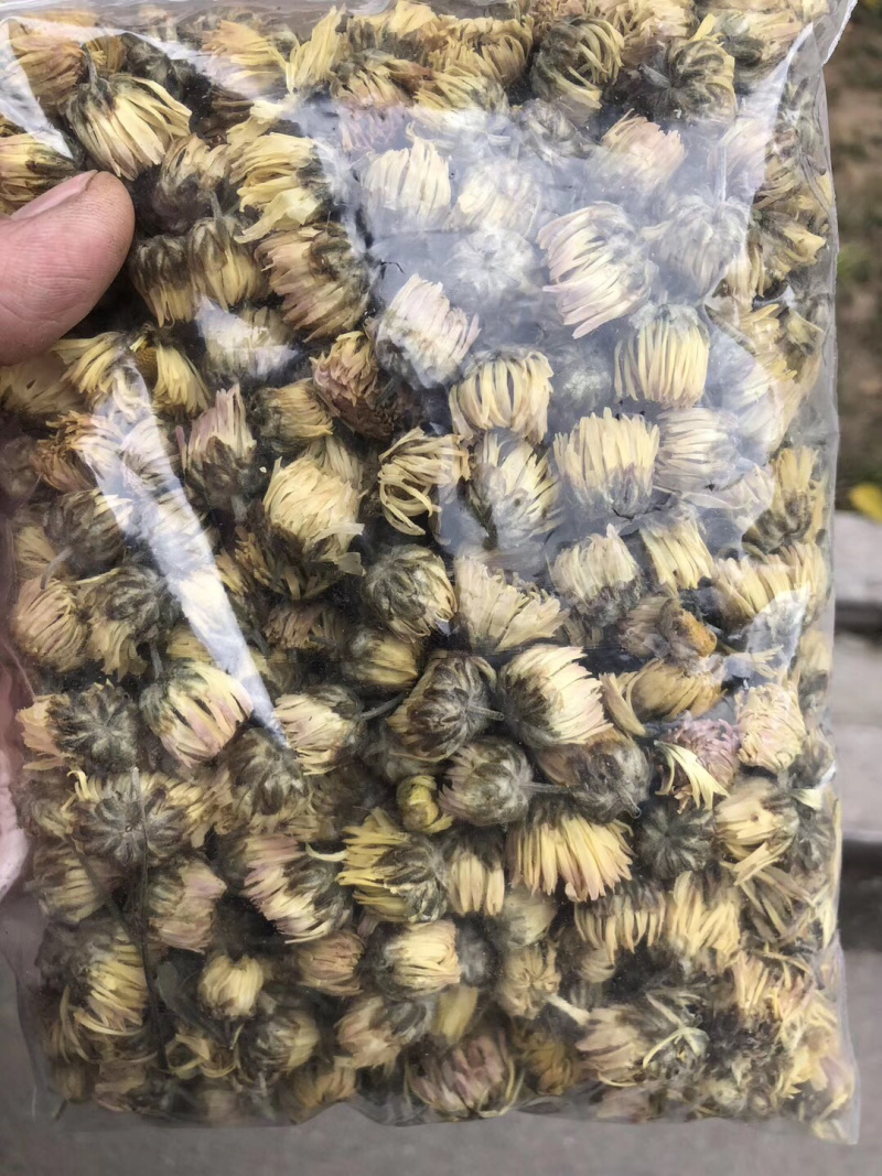 苏北菊胎菊大货每件10公斤质量中等产地直供批发价