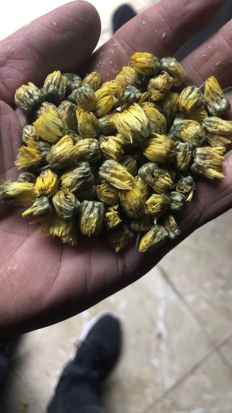 苏北菊胎菊大货每件10公斤质量中等产地直供批发价