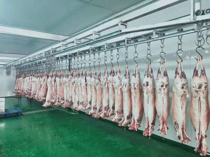内蒙古全羊手抓肉、4、6分体