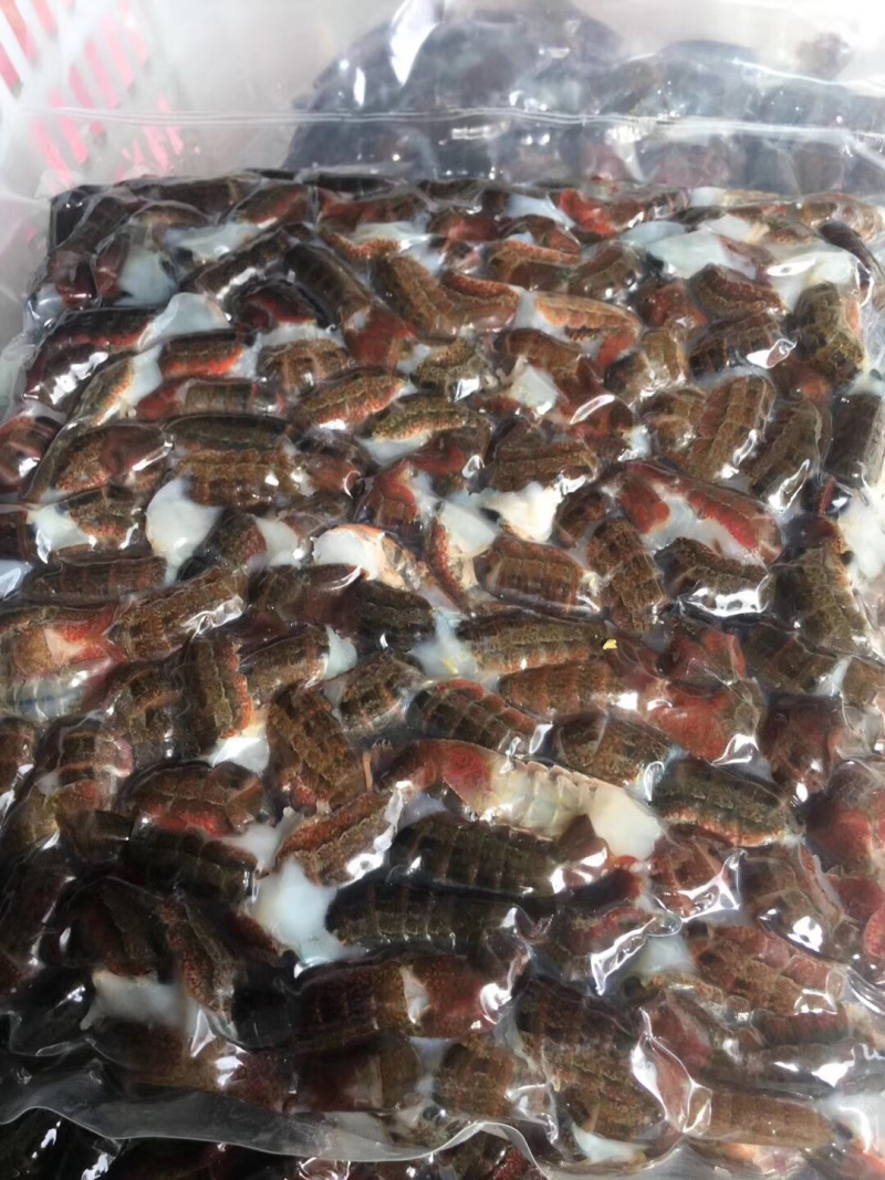 鲜活虾尾
