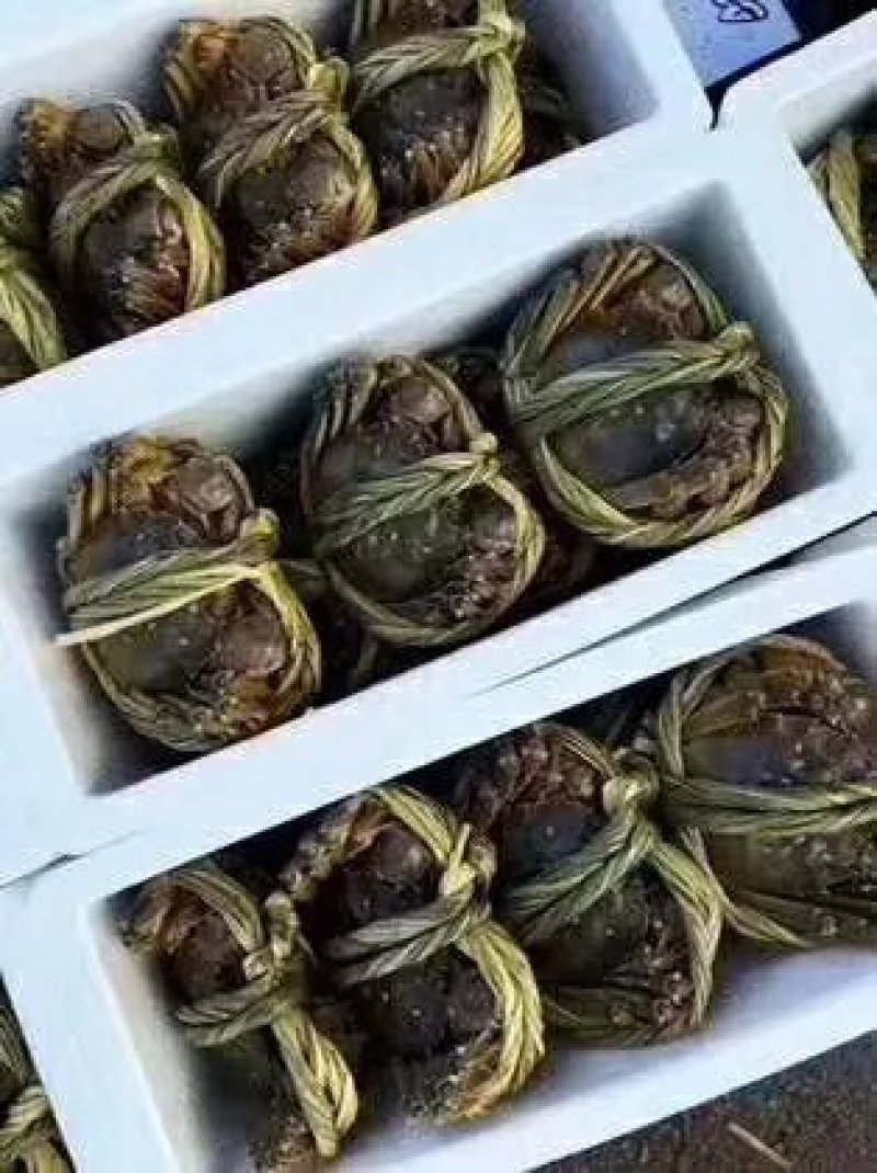 大闸蟹