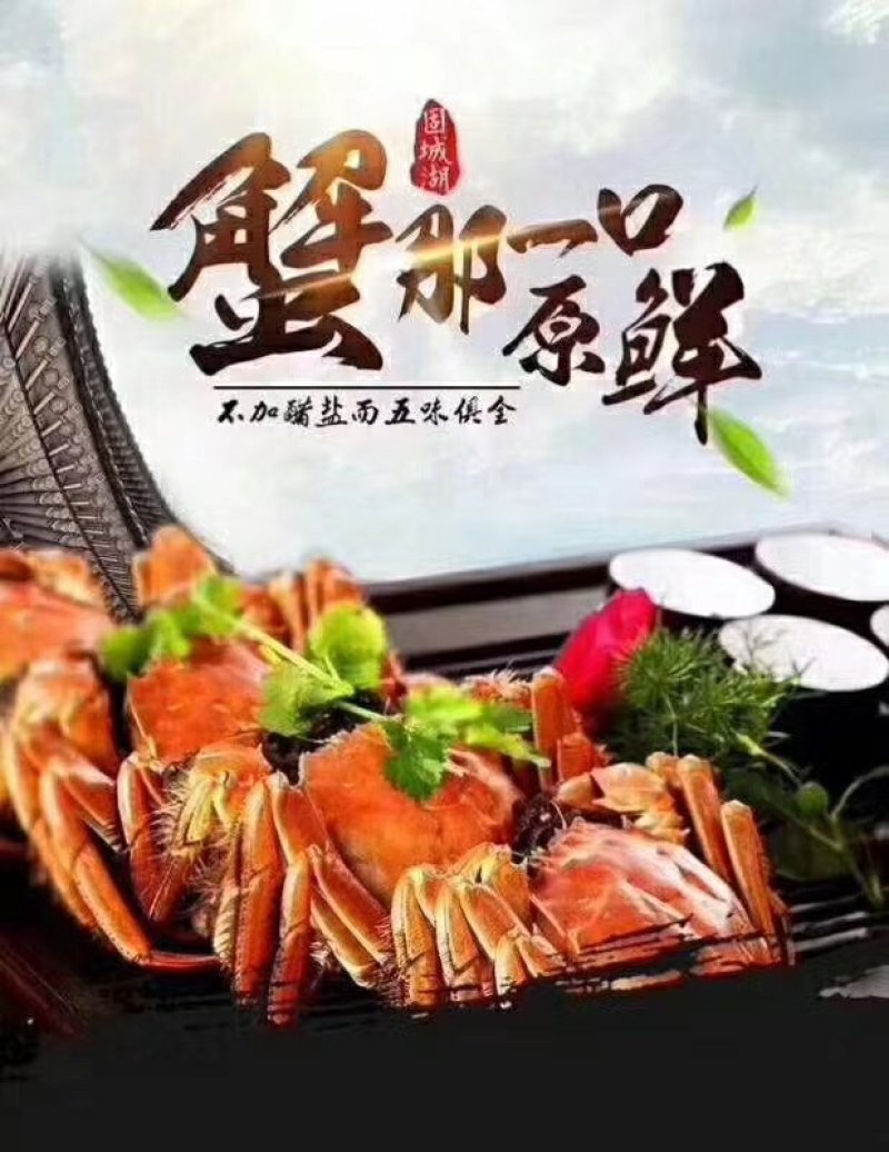 大闸蟹