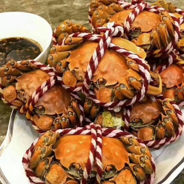 大闸蟹