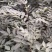 花椒苗50~80cm规格齐全基地批发直供