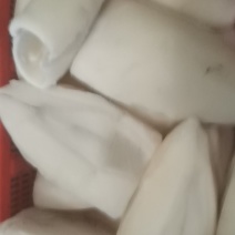 墨鱼筒